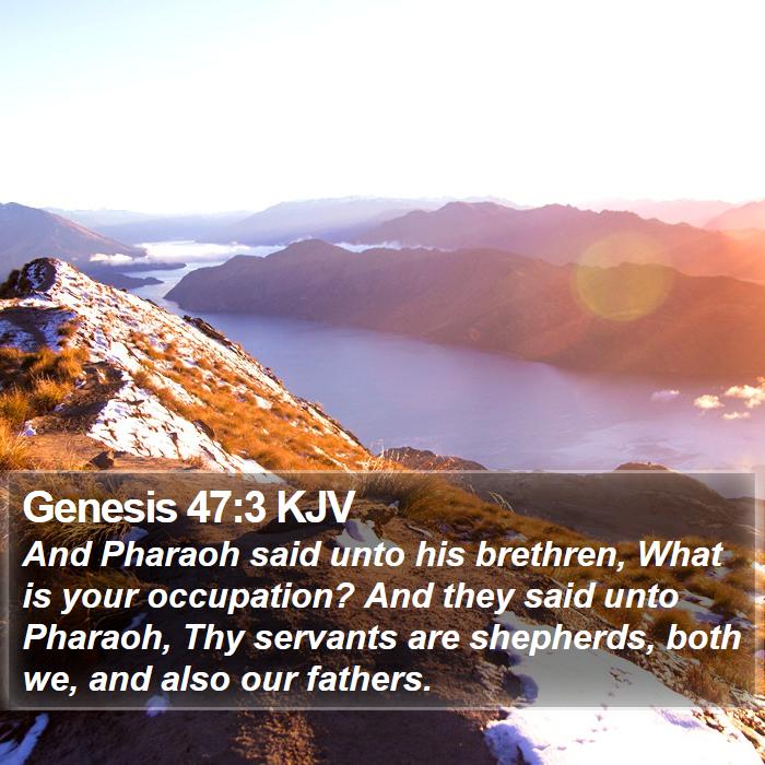 Genesis 47:3 KJV Bible Study