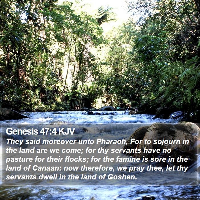 Genesis 47:4 KJV Bible Study