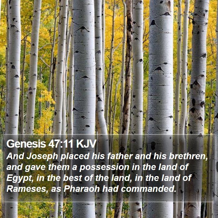 Genesis 47:11 KJV Bible Study