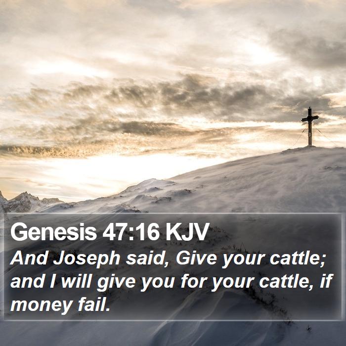 Genesis 47:16 KJV Bible Study