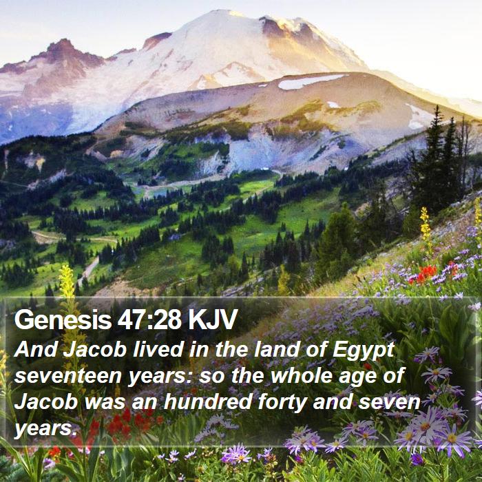 Genesis 47:28 KJV Bible Study