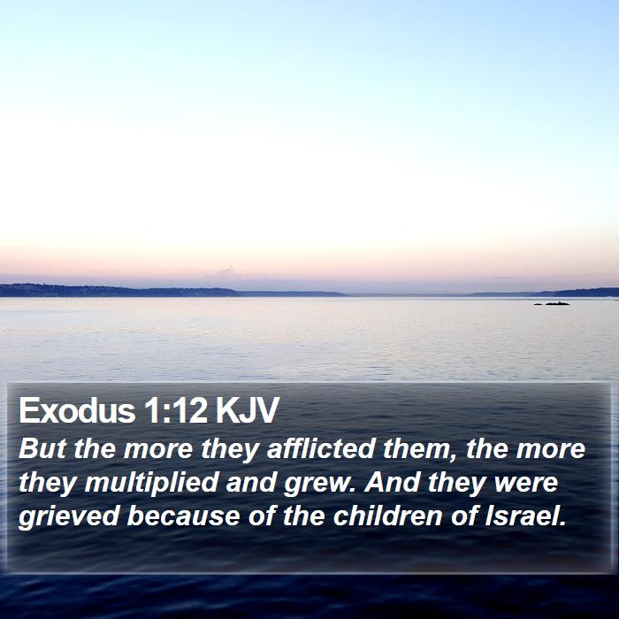 Exodus 1:12 KJV Bible Study