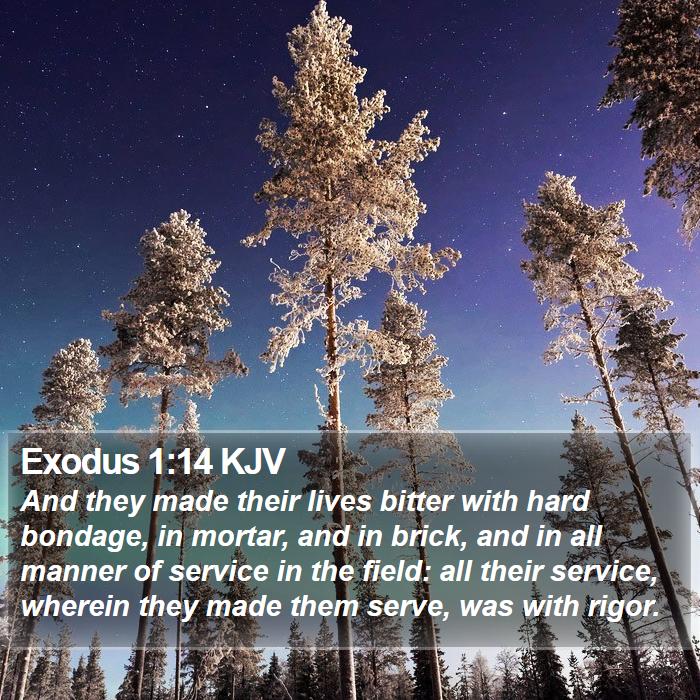 Exodus 1:14 KJV Bible Study