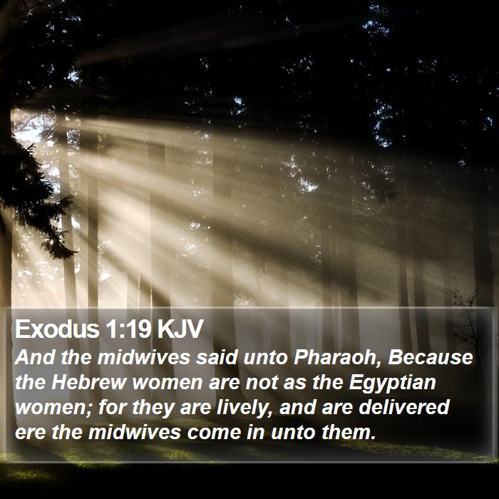 Exodus 1:19 KJV Bible Study