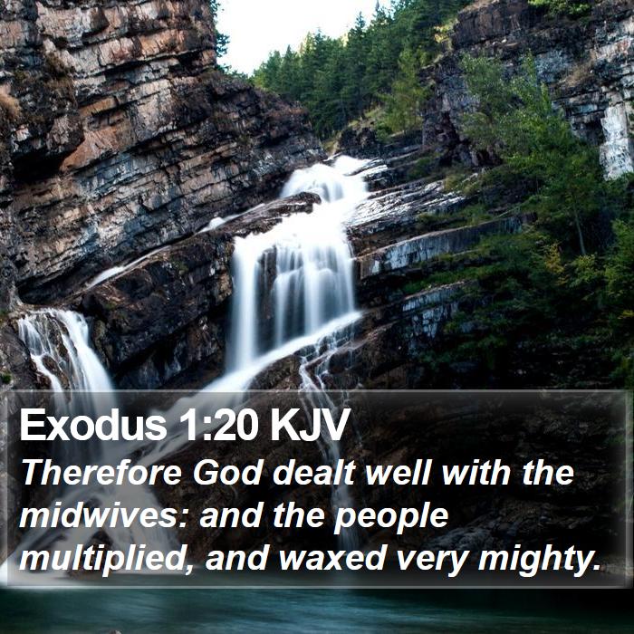 Exodus 1:20 KJV Bible Study