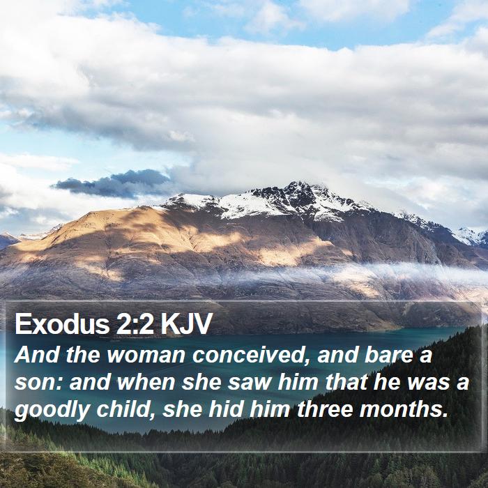 Exodus 2:2 KJV Bible Study