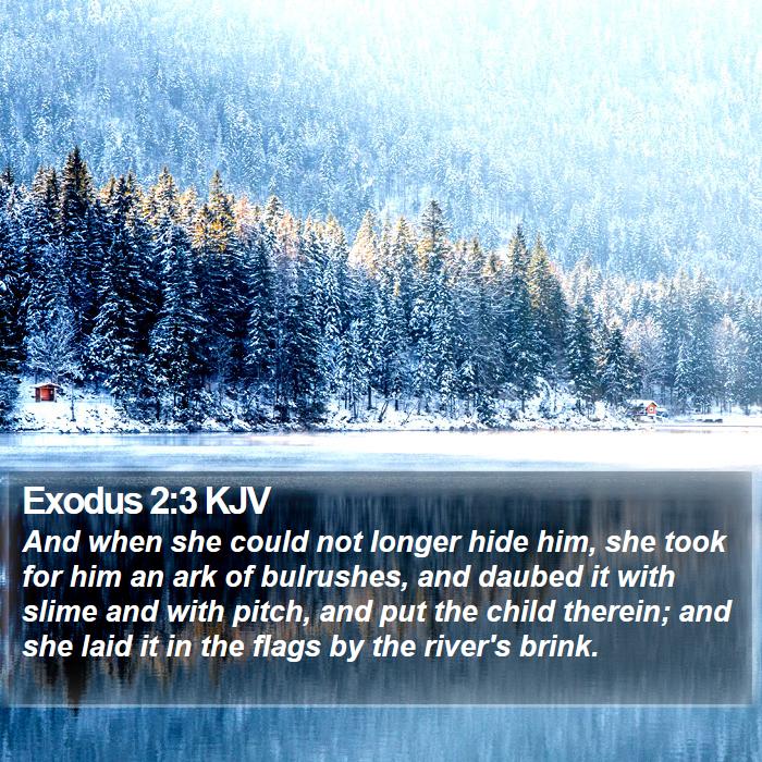 Exodus 2:3 KJV Bible Study