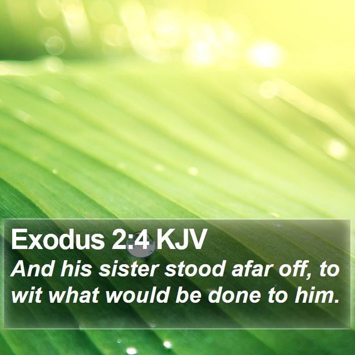 Exodus 2:4 KJV Bible Study