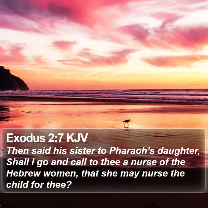 Exodus 2:7 KJV Bible Study