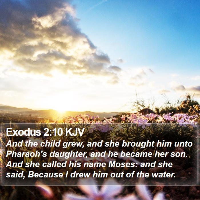 Exodus 2:10 KJV Bible Study