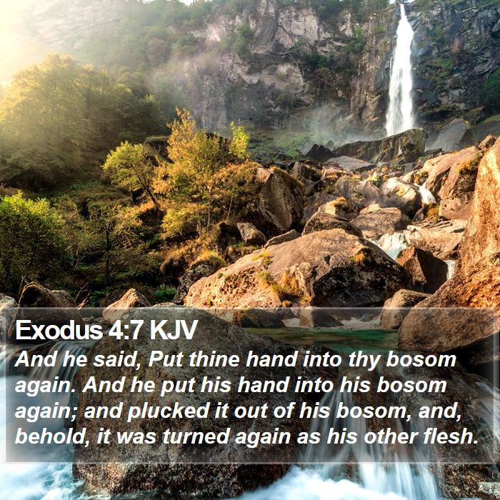 Exodus 4:7 KJV Bible Study