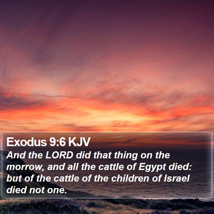 Exodus 9:6 KJV Bible Study