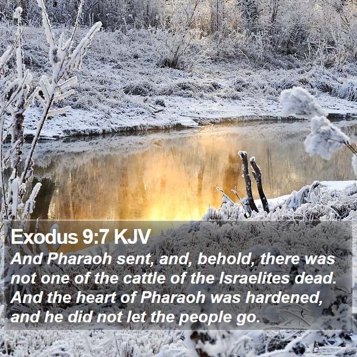 Exodus 9:7 KJV Bible Study