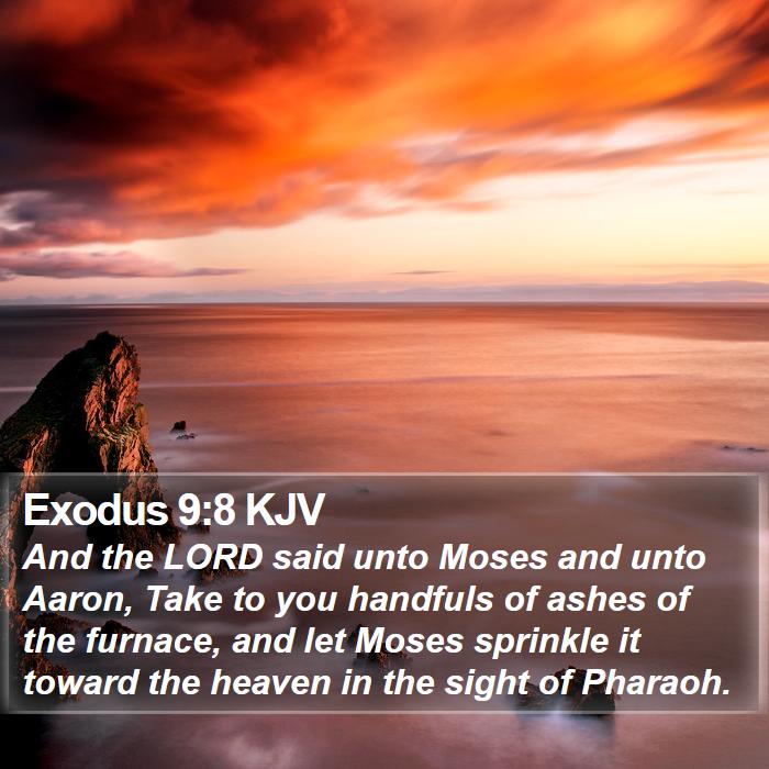 Exodus 9:8 KJV Bible Study