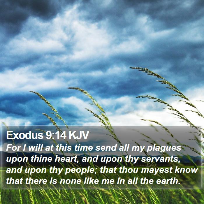 Exodus 9:14 KJV Bible Study