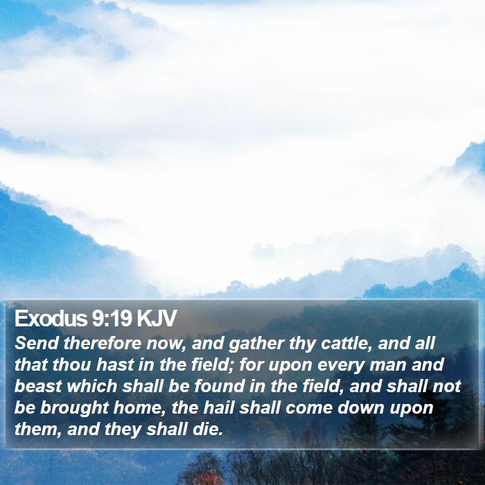 Exodus 9:19 KJV Bible Study