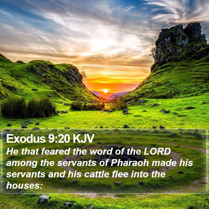 Exodus 9:20 KJV Bible Study