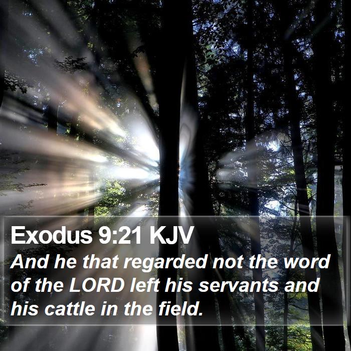 Exodus 9:21 KJV Bible Study