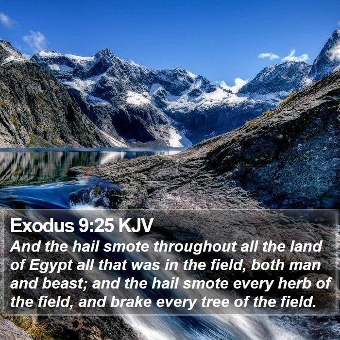 Exodus 9:25 KJV Bible Study