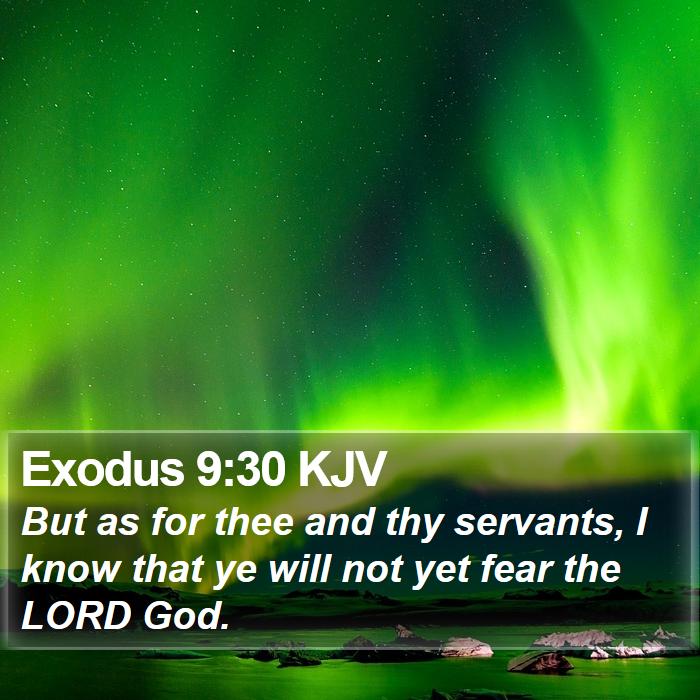 Exodus 9:30 KJV Bible Study