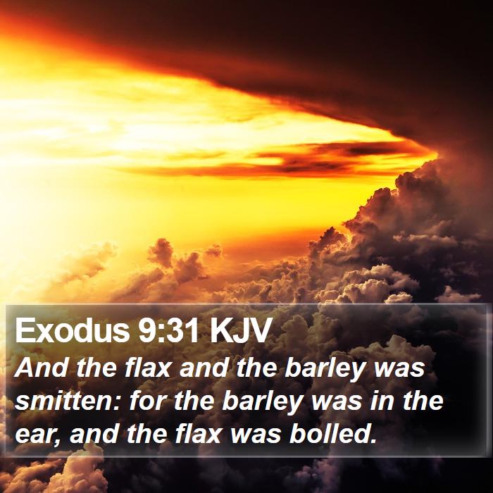 Exodus 9:31 KJV Bible Study