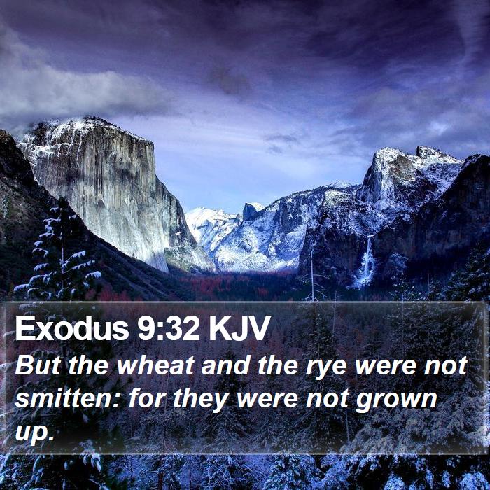 Exodus 9:32 KJV Bible Study