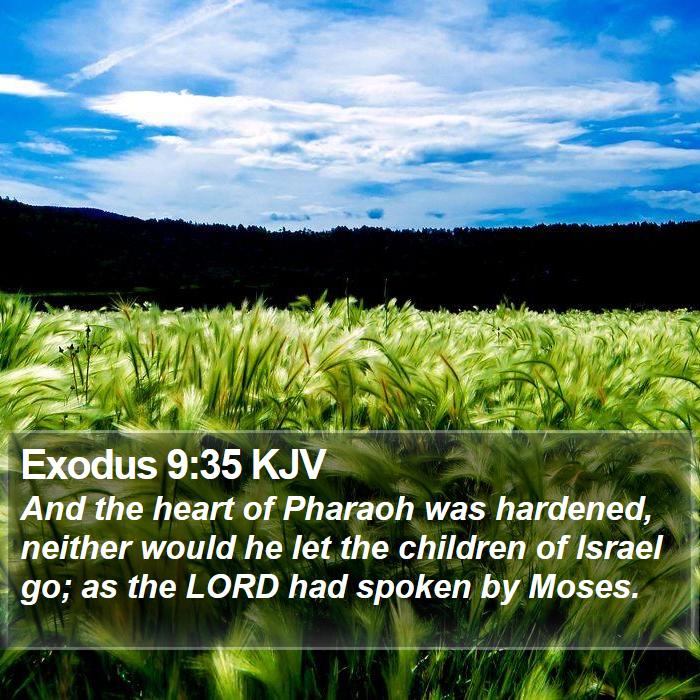 Exodus 9:35 KJV Bible Study