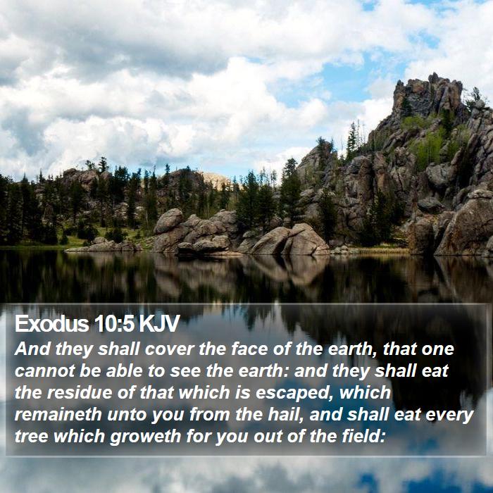 Exodus 10:5 KJV Bible Study