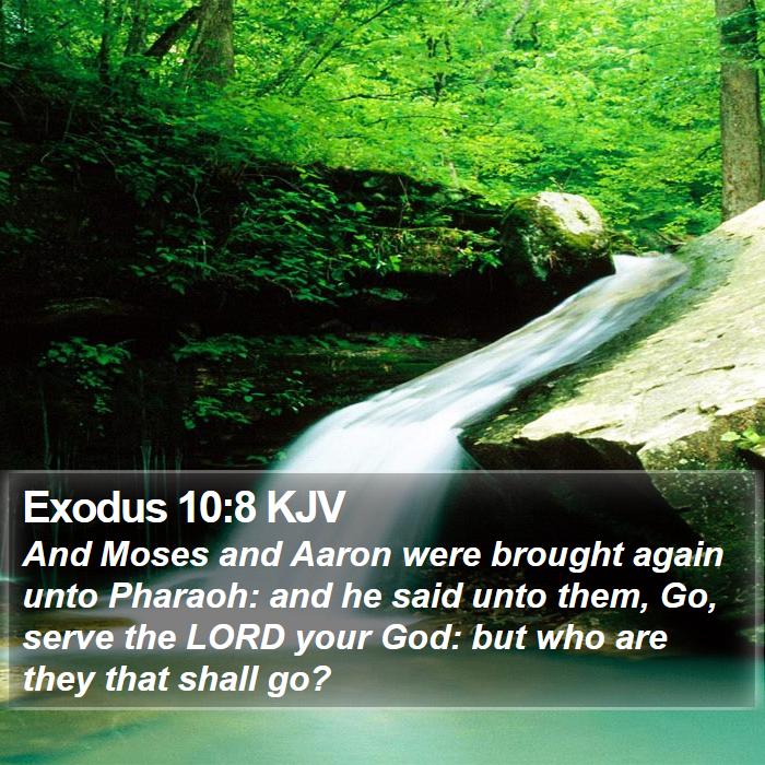 Exodus 10:8 KJV Bible Study