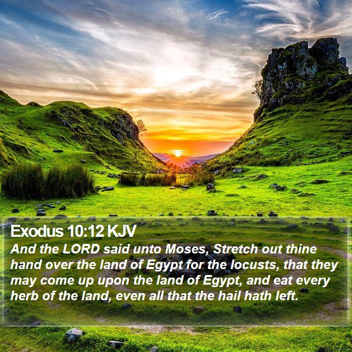 Exodus 10:12 KJV Bible Study