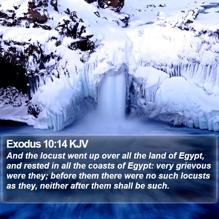 Exodus 10:14 KJV Bible Study