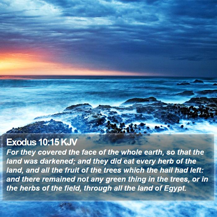 Exodus 10:15 KJV Bible Study