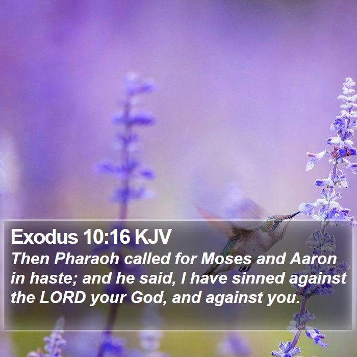 Exodus 10:16 KJV Bible Study