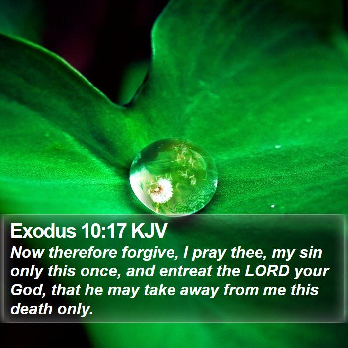 Exodus 10:17 KJV Bible Study