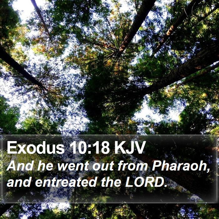 Exodus 10:18 KJV Bible Study