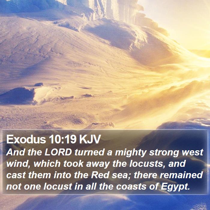 Exodus 10:19 KJV Bible Study