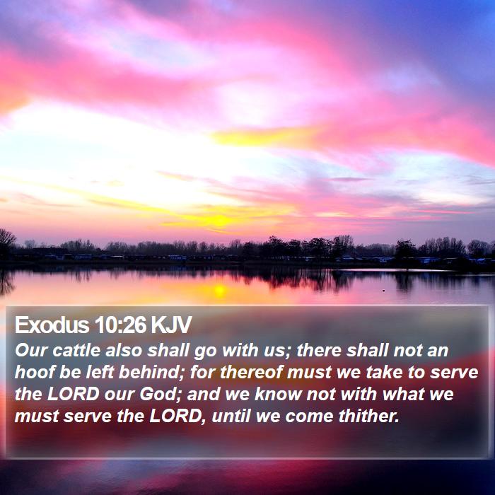 Exodus 10:26 KJV Bible Study