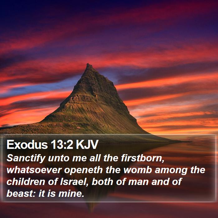 Exodus 13:2 KJV Bible Study