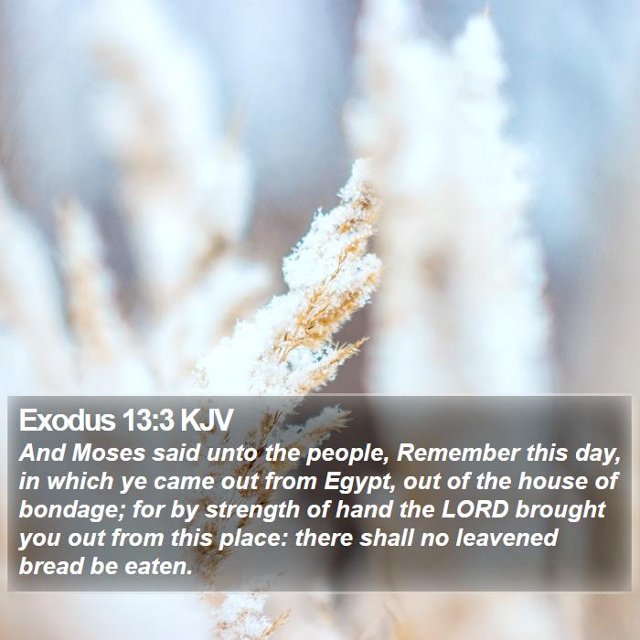 Exodus 13:3 KJV Bible Study