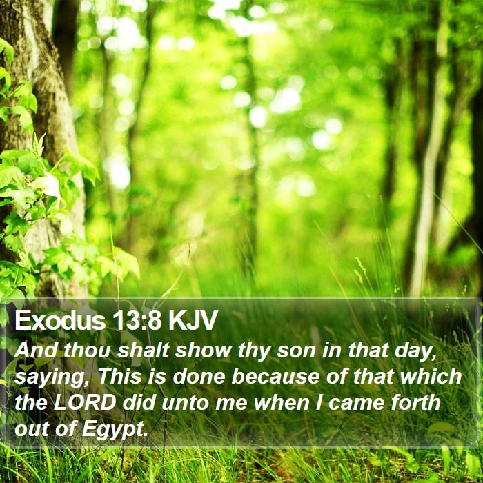 Exodus 13:8 KJV Bible Study