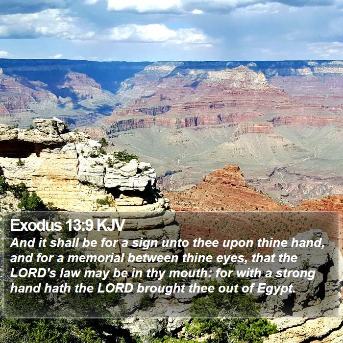 Exodus 13:9 KJV Bible Study