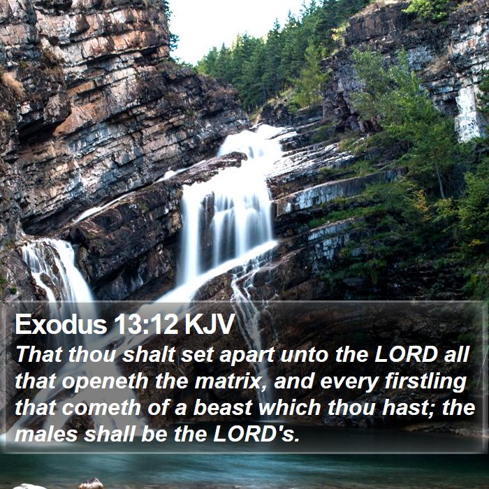 Exodus 13:12 KJV Bible Study