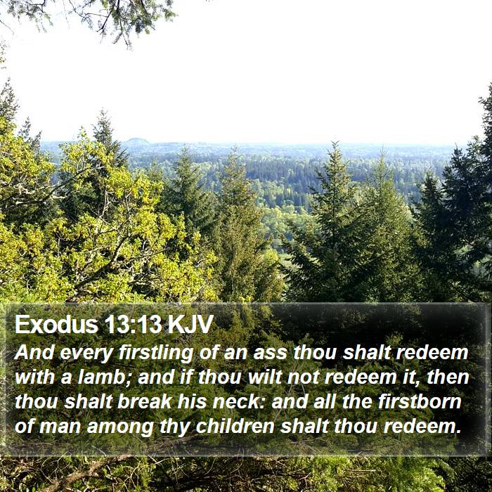 Exodus 13:13 KJV Bible Study