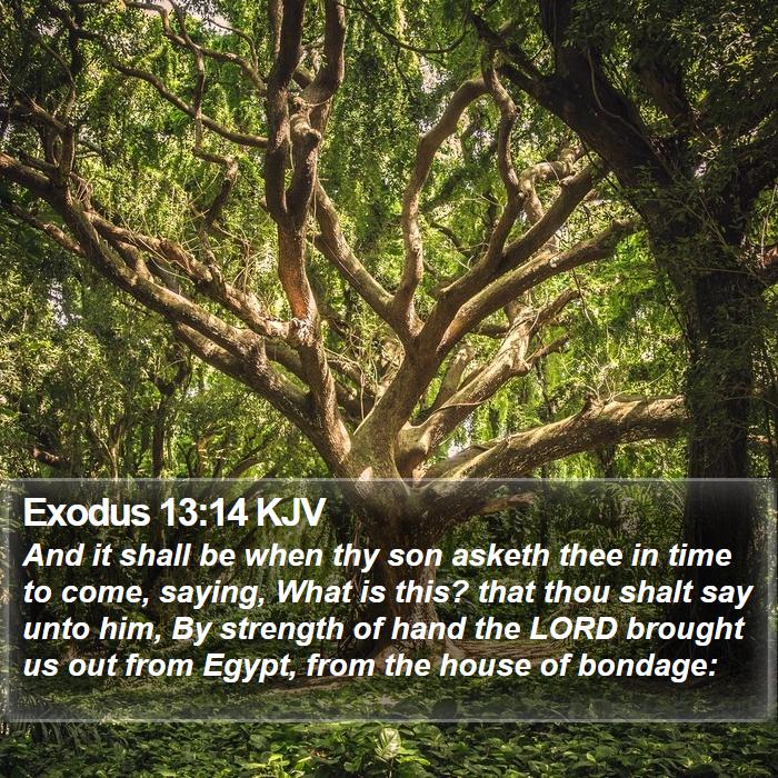 Exodus 13:14 KJV Bible Study