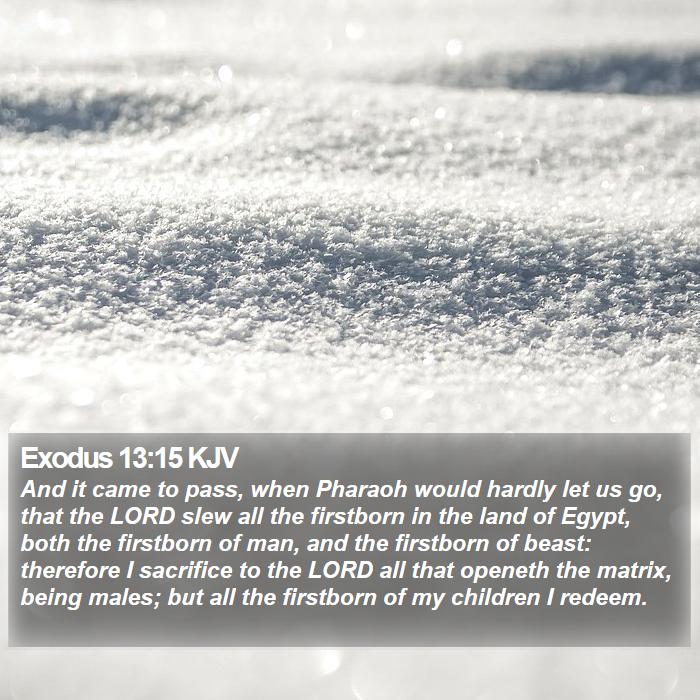 Exodus 13:15 KJV Bible Study