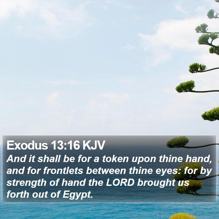 Exodus 13:16 KJV Bible Study