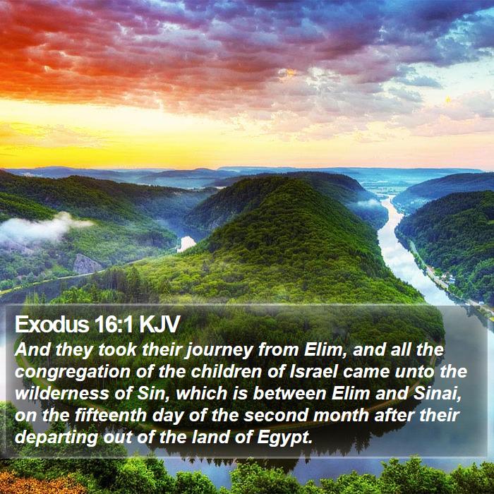 Exodus 16:1 KJV Bible Study