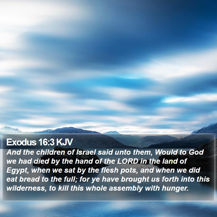 Exodus 16:3 KJV Bible Study