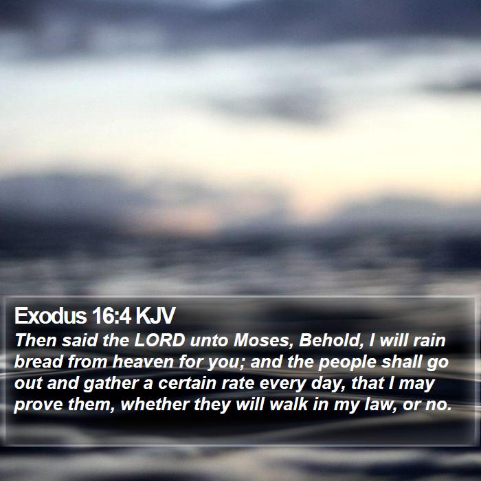 Exodus 16:4 KJV Bible Study