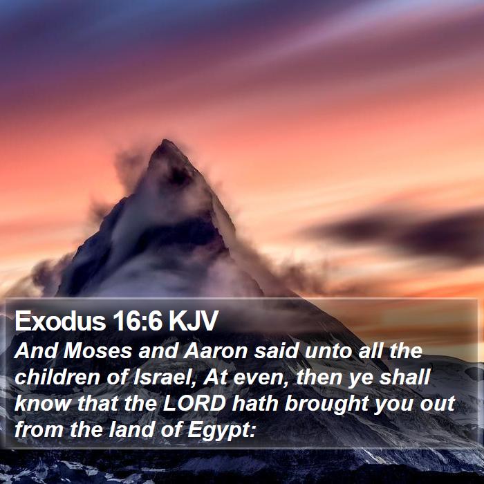 Exodus 16:6 KJV Bible Study